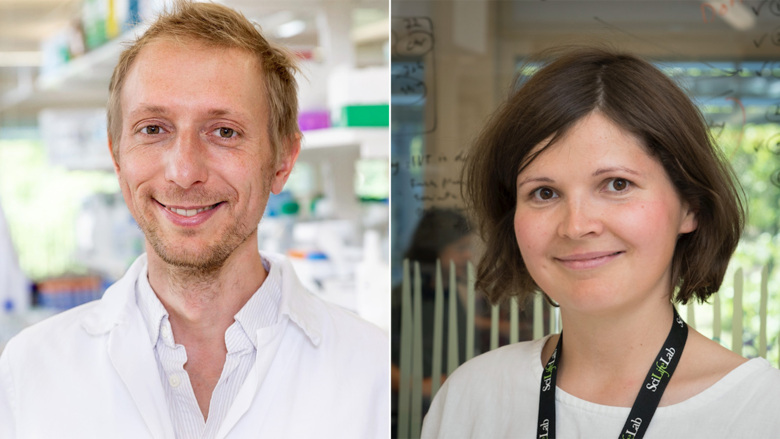 Two Ki Researchers Awarded Erc Consolidator Grants Karolinska Institutet