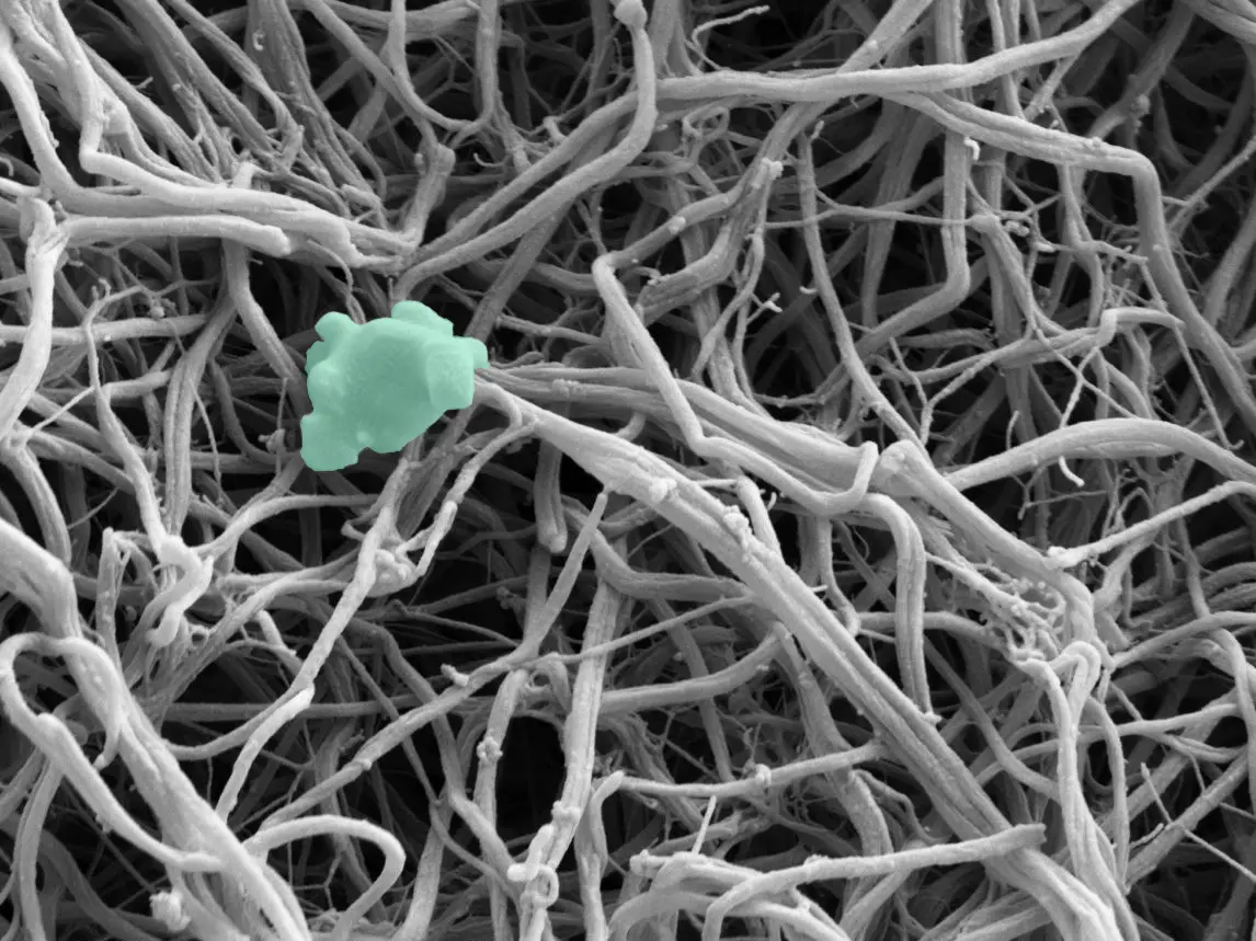 Microscope platelet