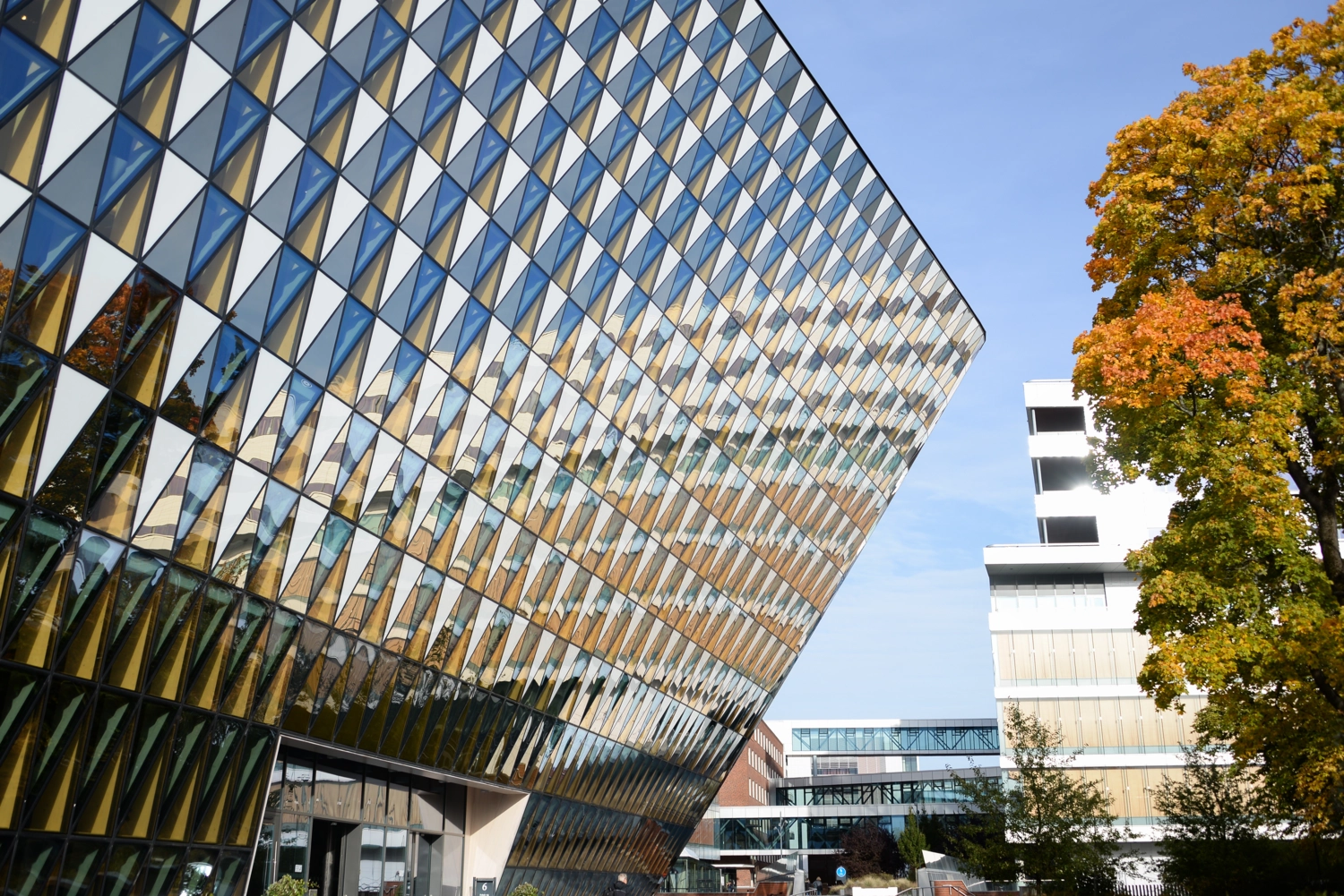 Medical Education Becomes New KI Research Field