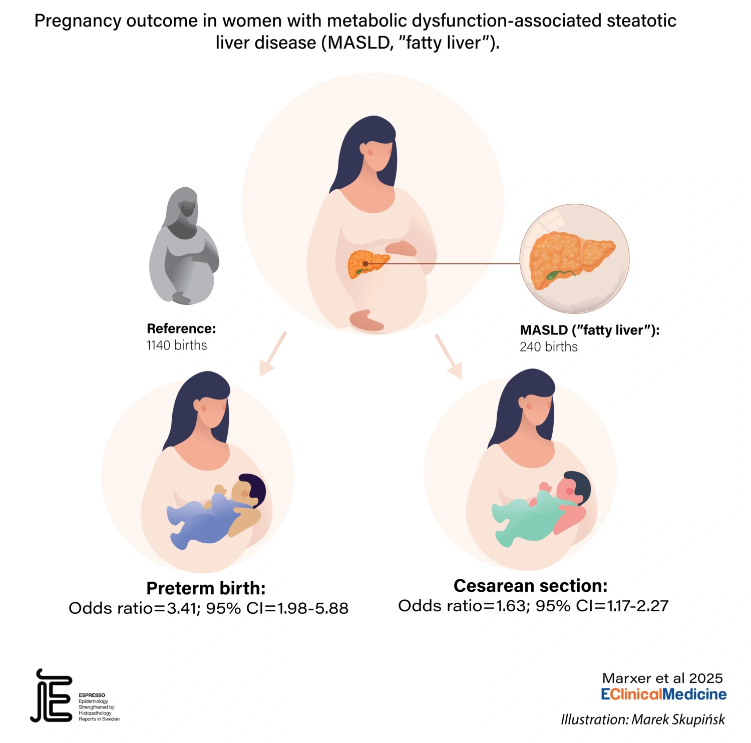 Illustration of research findings