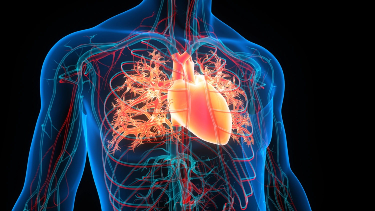 New study shows limited benefit of beta-blockers after myocardial infarction