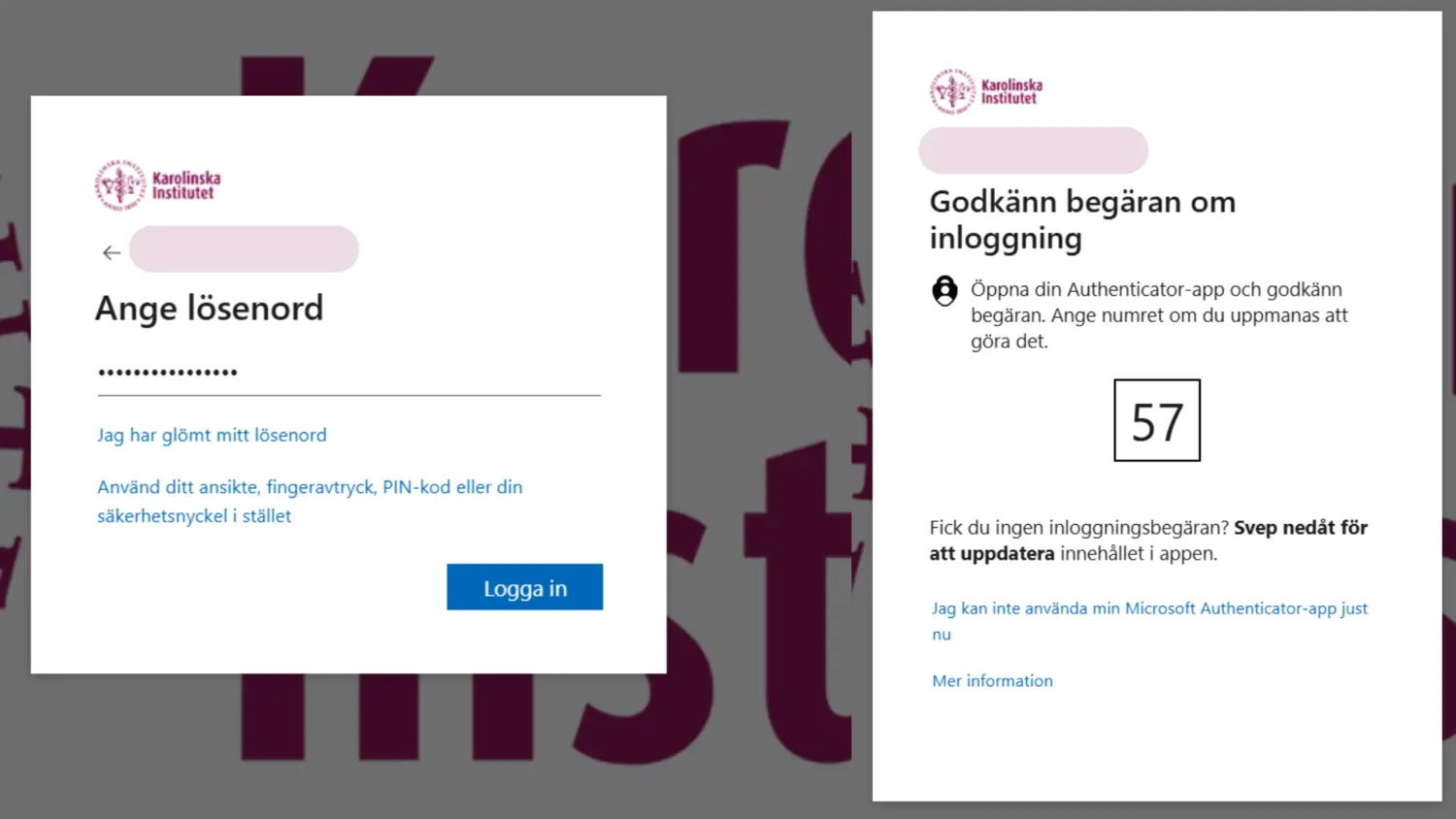 Screenshot of login procedure.