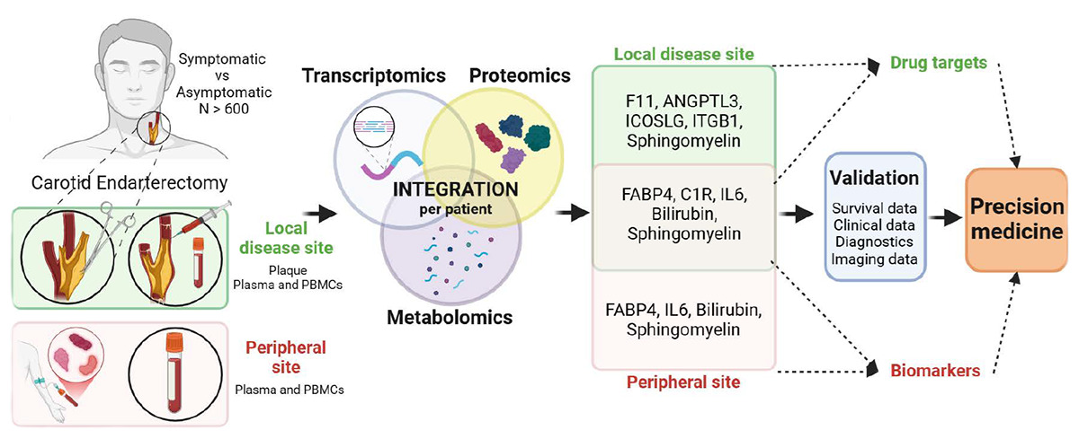Graphic image of the study