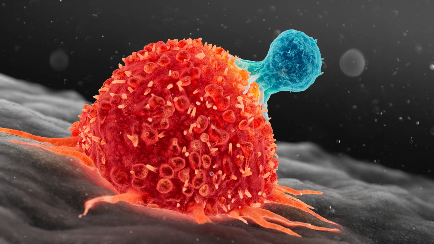 Cell and gene therapy – from science fiction to the hospital ward