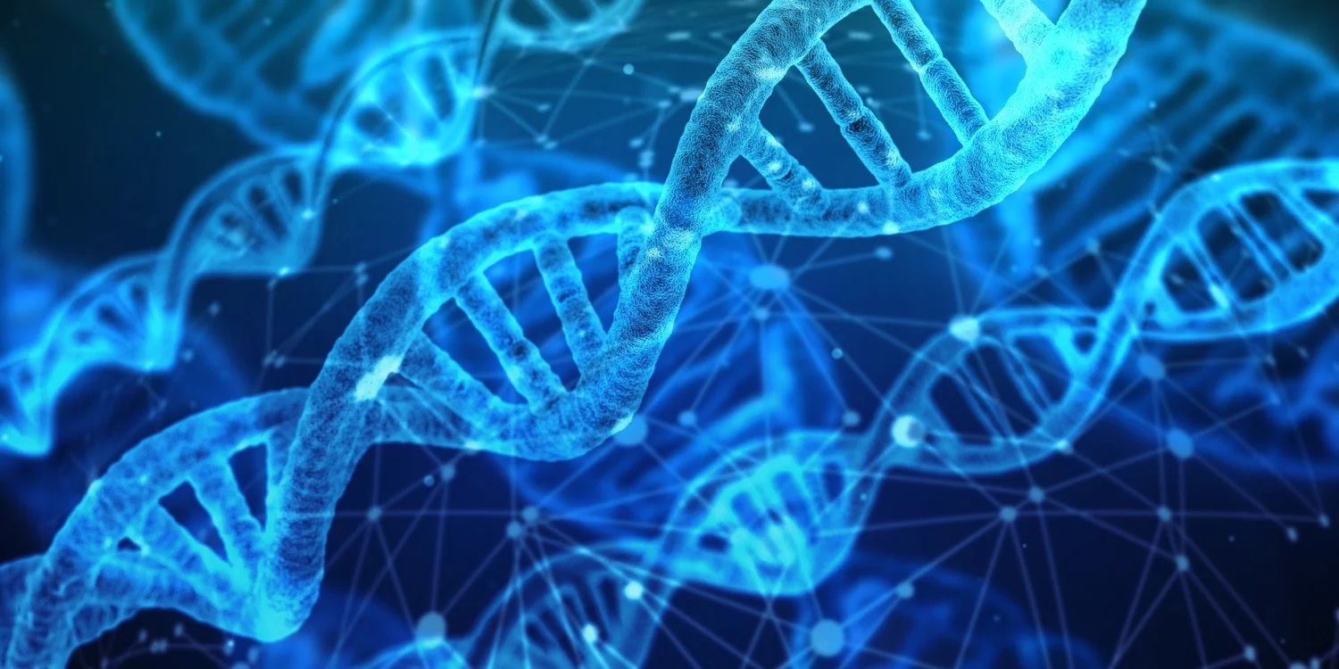 Sweden Launches Research-Healthcare Integration Plan