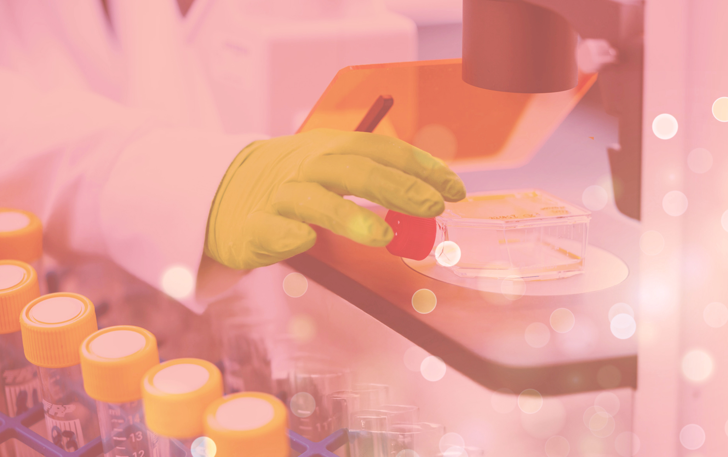 25,6 million SEK in grants to MBB researchers from Swedish Cancer Society