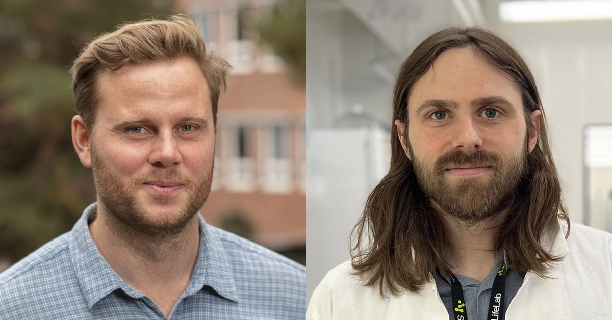 two-ki-researchers-awarded-prestigious-erc-starting-grant-karolinska