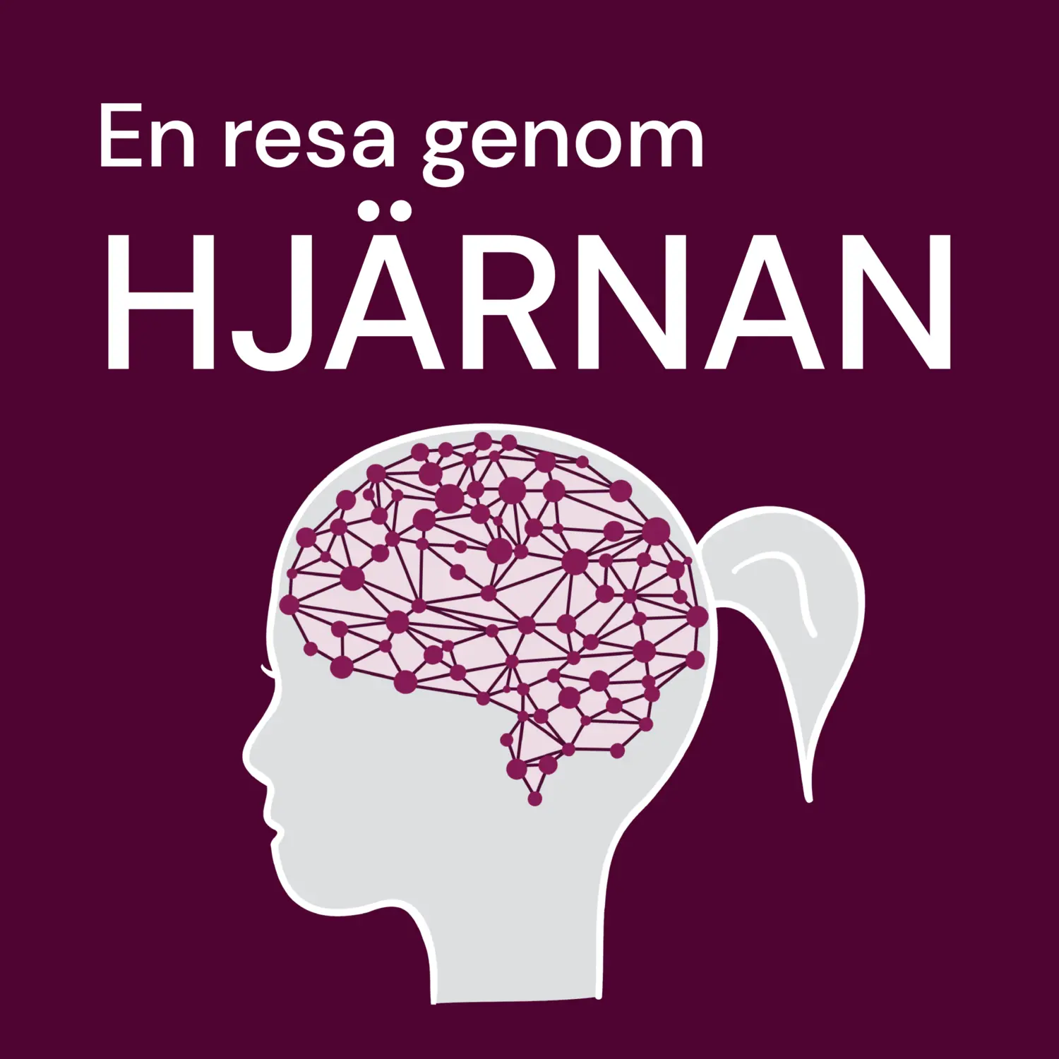 A journey through the brain 2024 Karolinska Institutet