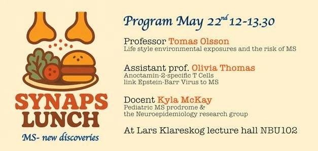 Synapslunch May 22