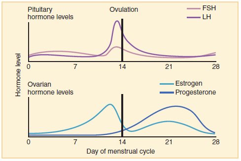 Antimicrobial peptides - Wikipedia