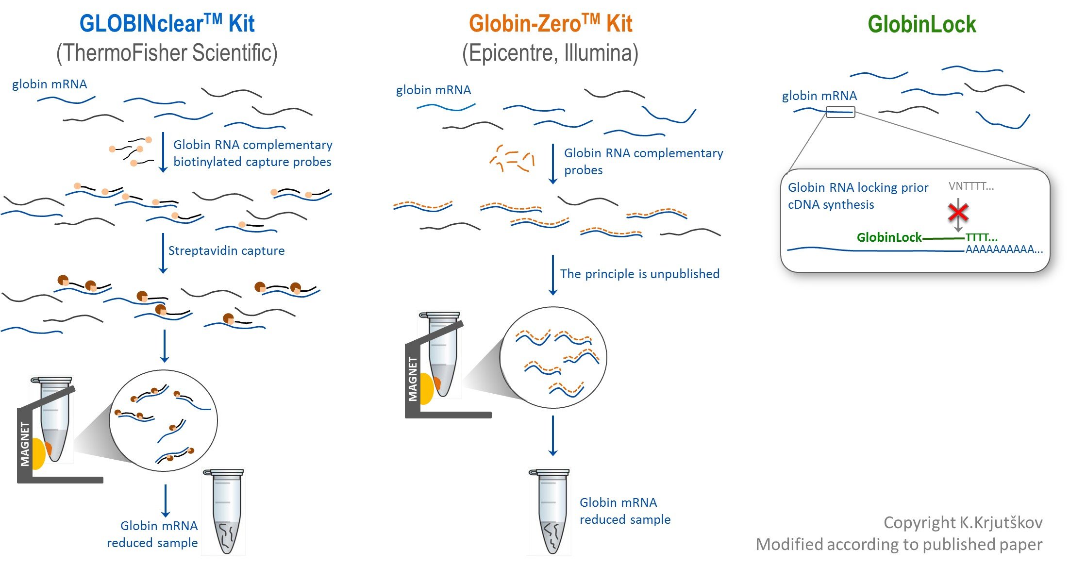Comparison of two available globin mRNA reduction methods (GLOBINclearTM and Globin-ZeroTM) based on manufacturer’s product information from official webpages. In addition, GlobinLock principle is depicted on right side.