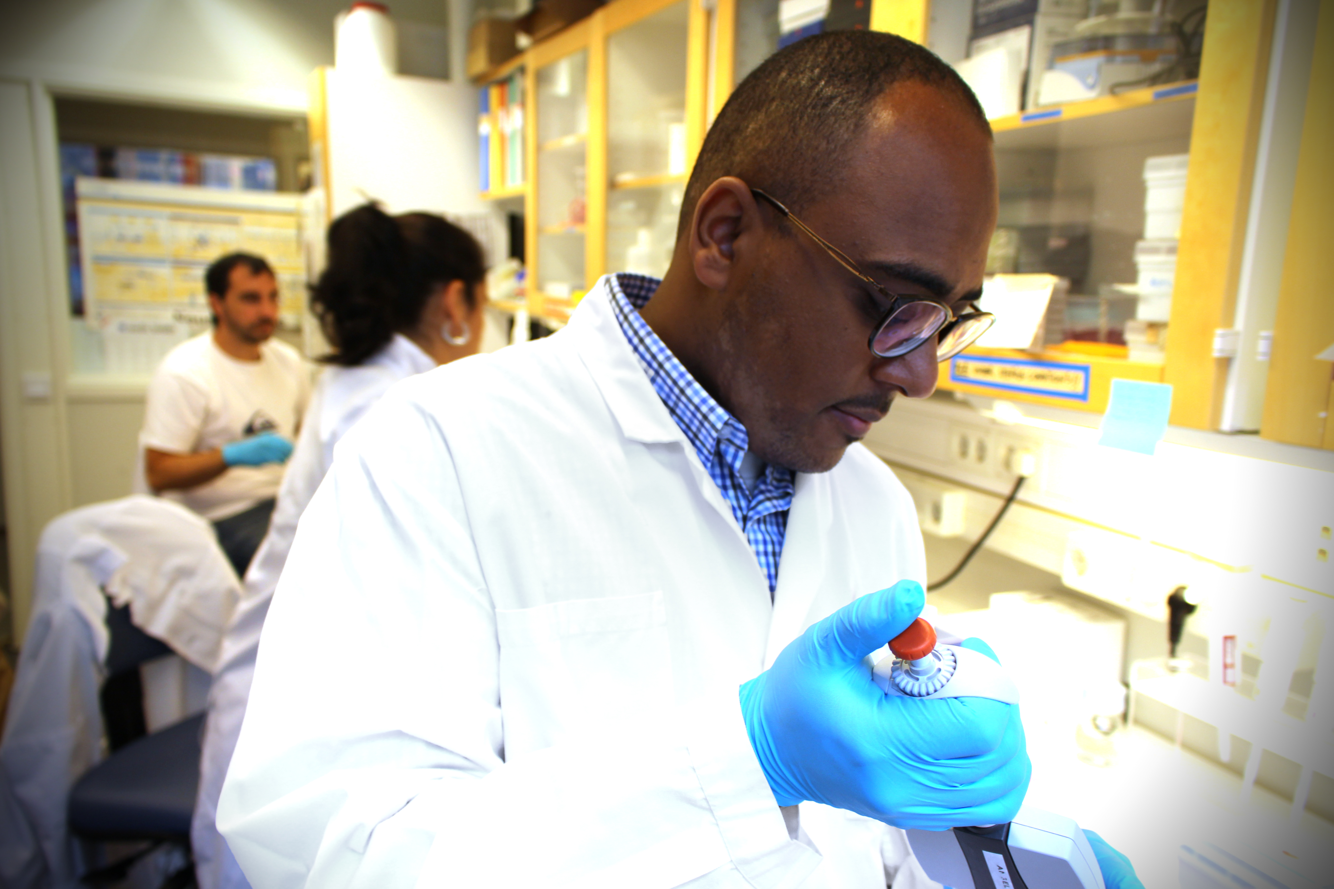AD researcher Muhammad Al Mustafa Ismail working in the lab. Photo: Selma Wolofsky, NVS, Karolinska Institutet.