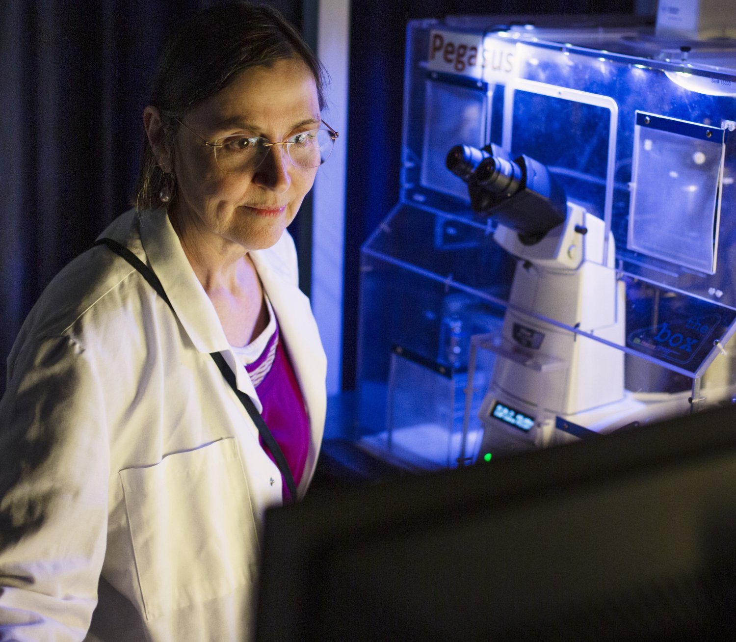 Sylvie le Guyader, senior research infrastructure specialist, at the microscope in the darkened laboratory.