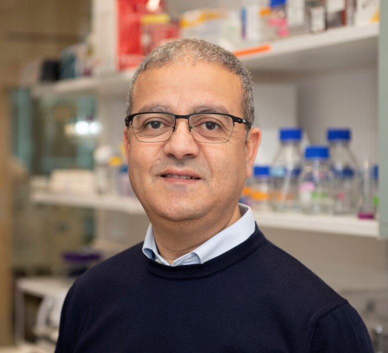 Abdel El Manira, Professor at the Department of Neuroscience, Karolinska Institutet