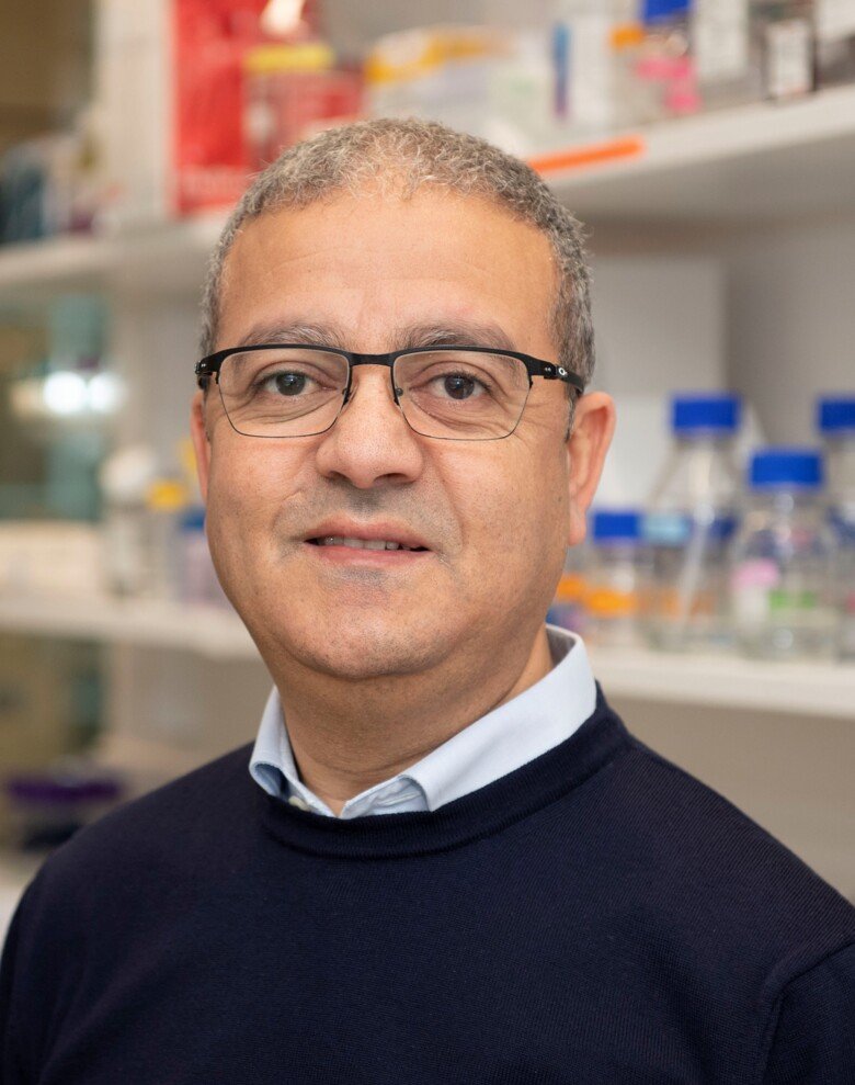 Abdel El Manira, Professor at the Department of Neuroscience, Karolinska Institutet