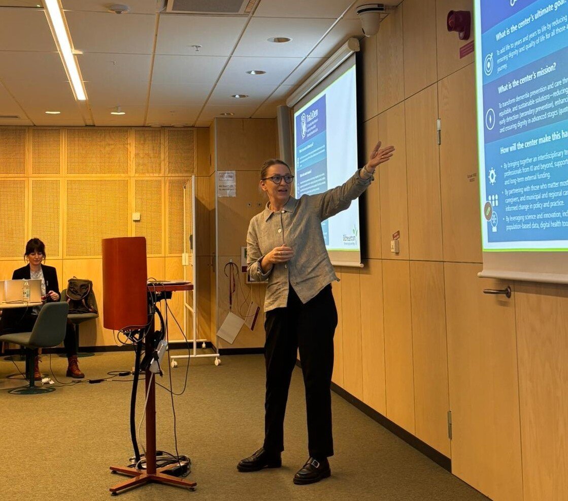 Åsa Hedberg presenting WP9