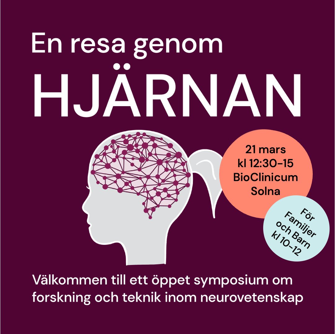 En resa genom hjärnan 2026