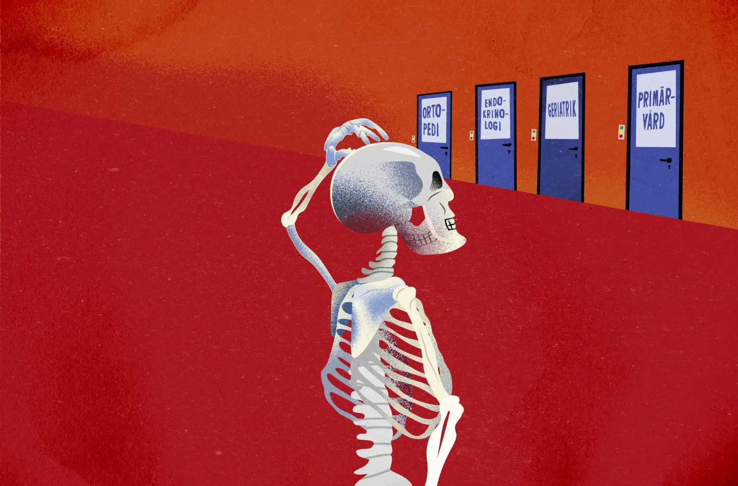 illustration of skeleton