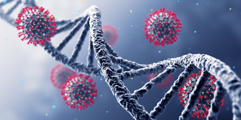 Mapping the human genetic architecture of COVID-19