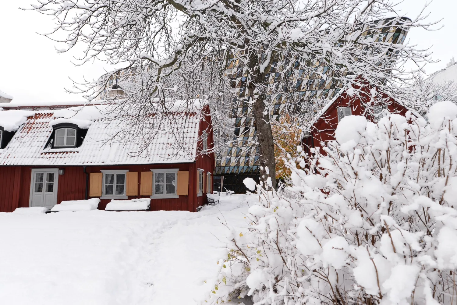 Buildings and outdoor environment drowning in snow.