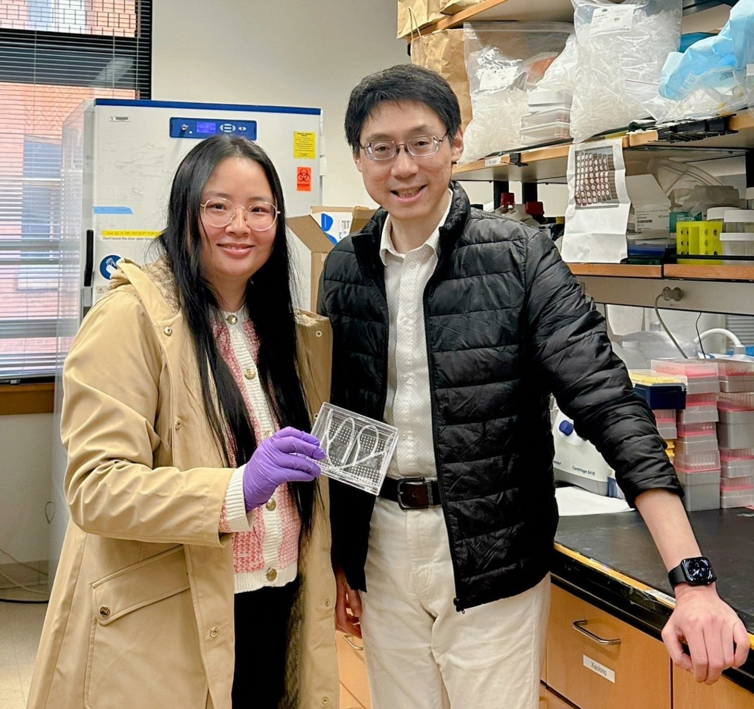 Di Zhang and Rong Fan