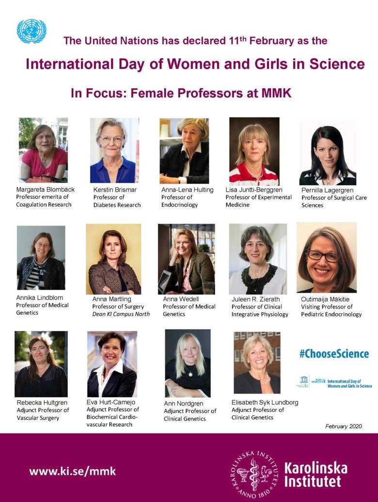 Female Professors at MMK 2020