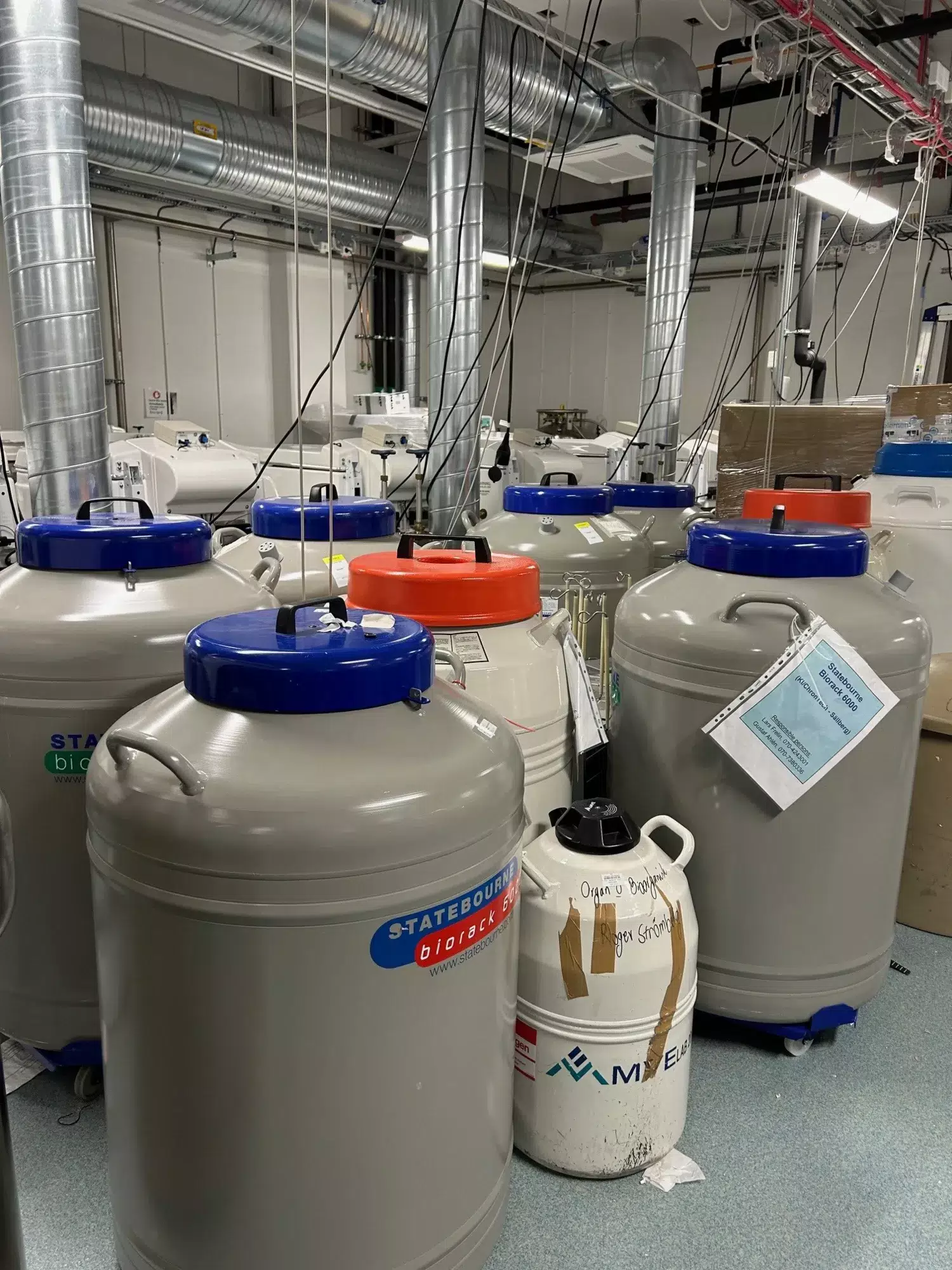 Photo of  older cryogenic vessels in ANA Futura's freezer facility that are not in use.