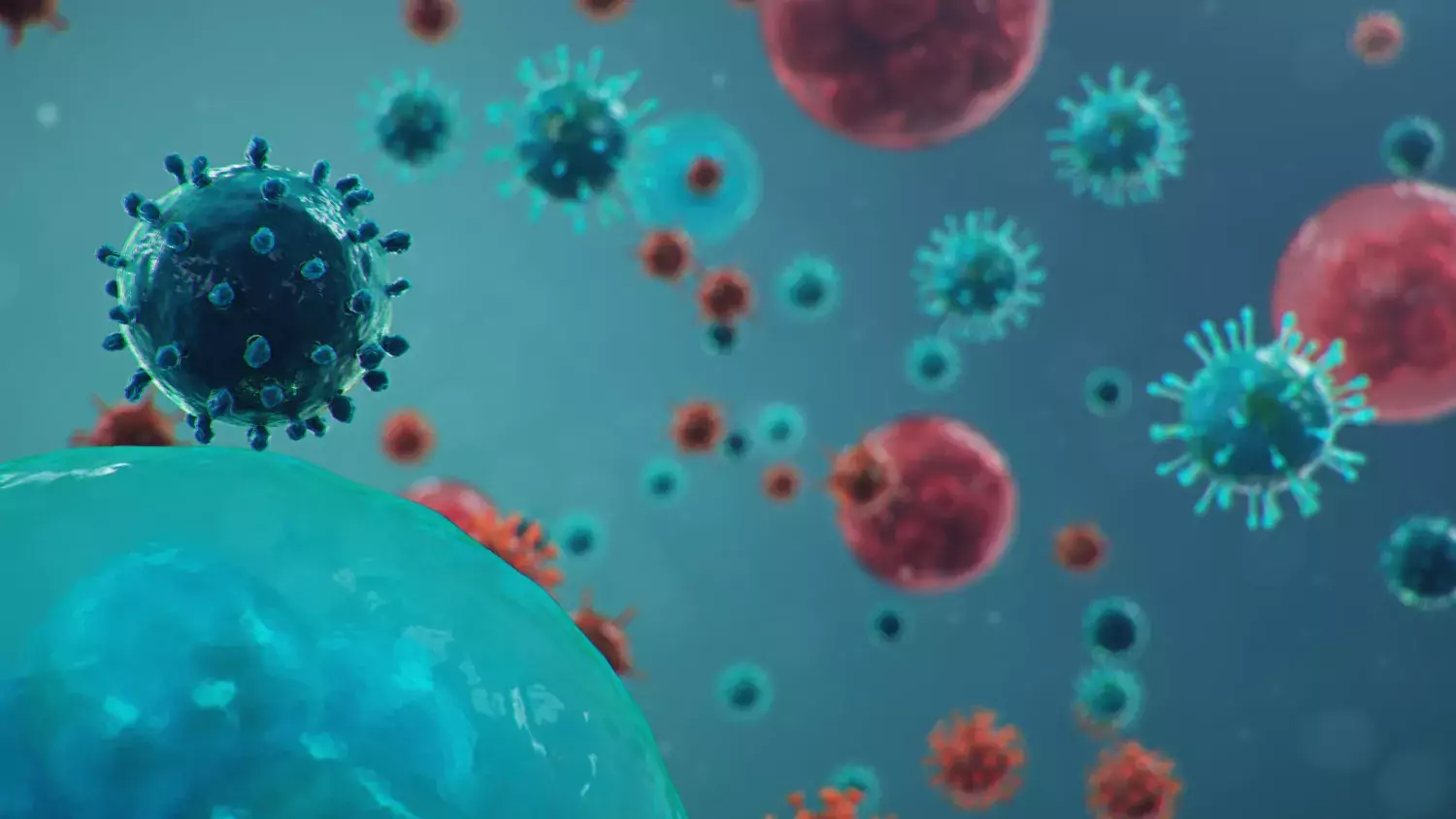 Human cells, the virus infects cells, 3D illustration.