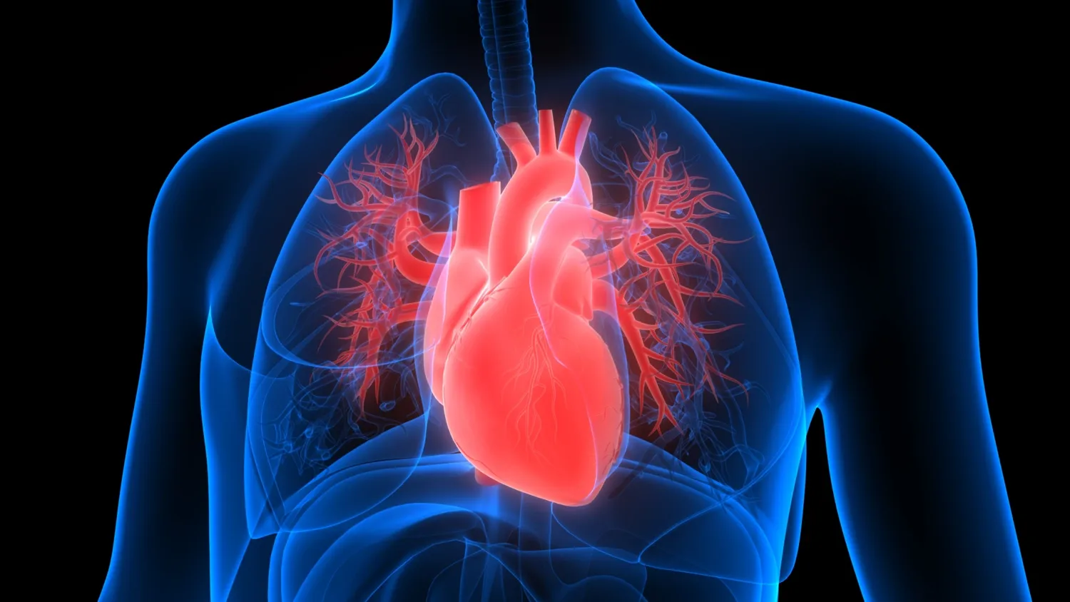 Decorative image of a heart