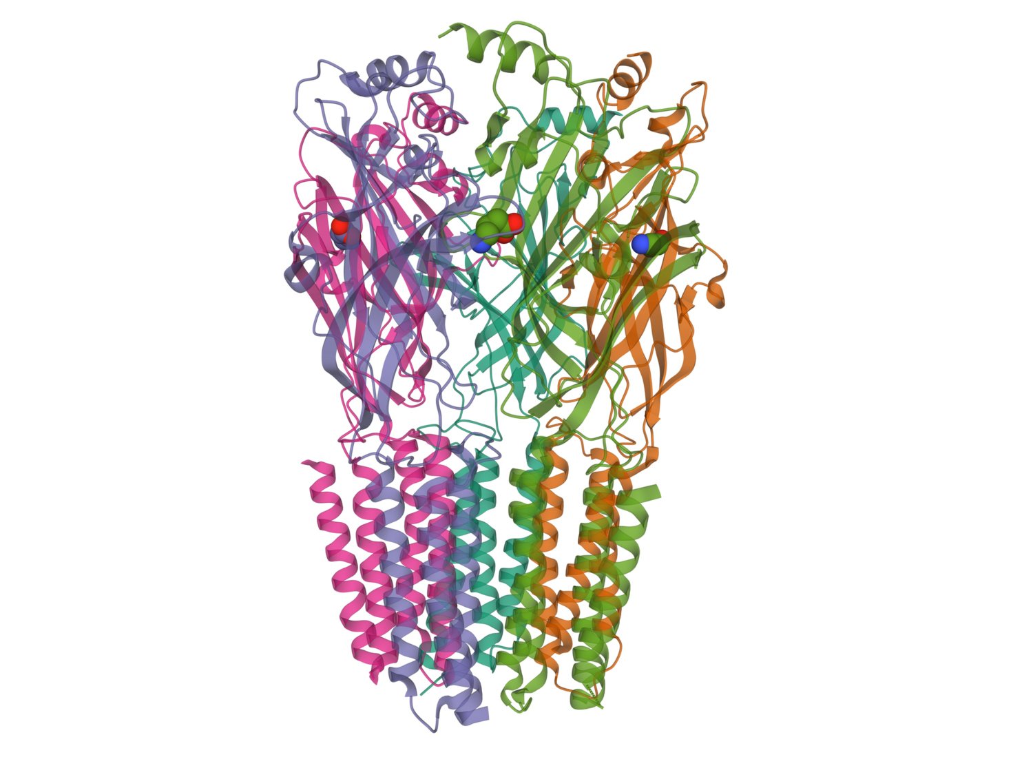 Illustration of GABA-receptors.