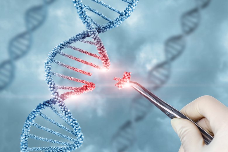 Concept of treatment and adjustment of DNA.