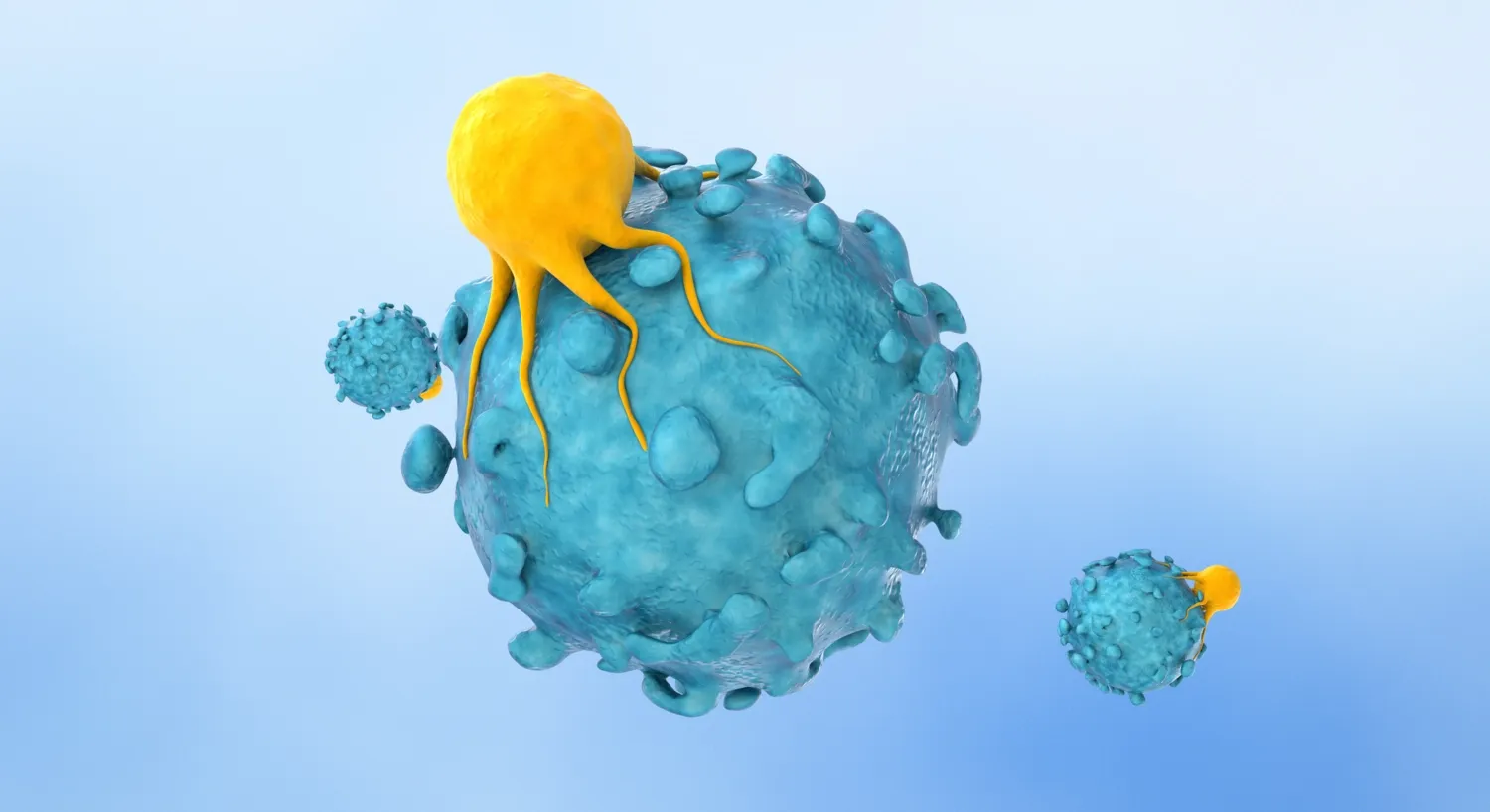 Illustration of t-cell targeting cancer cell.