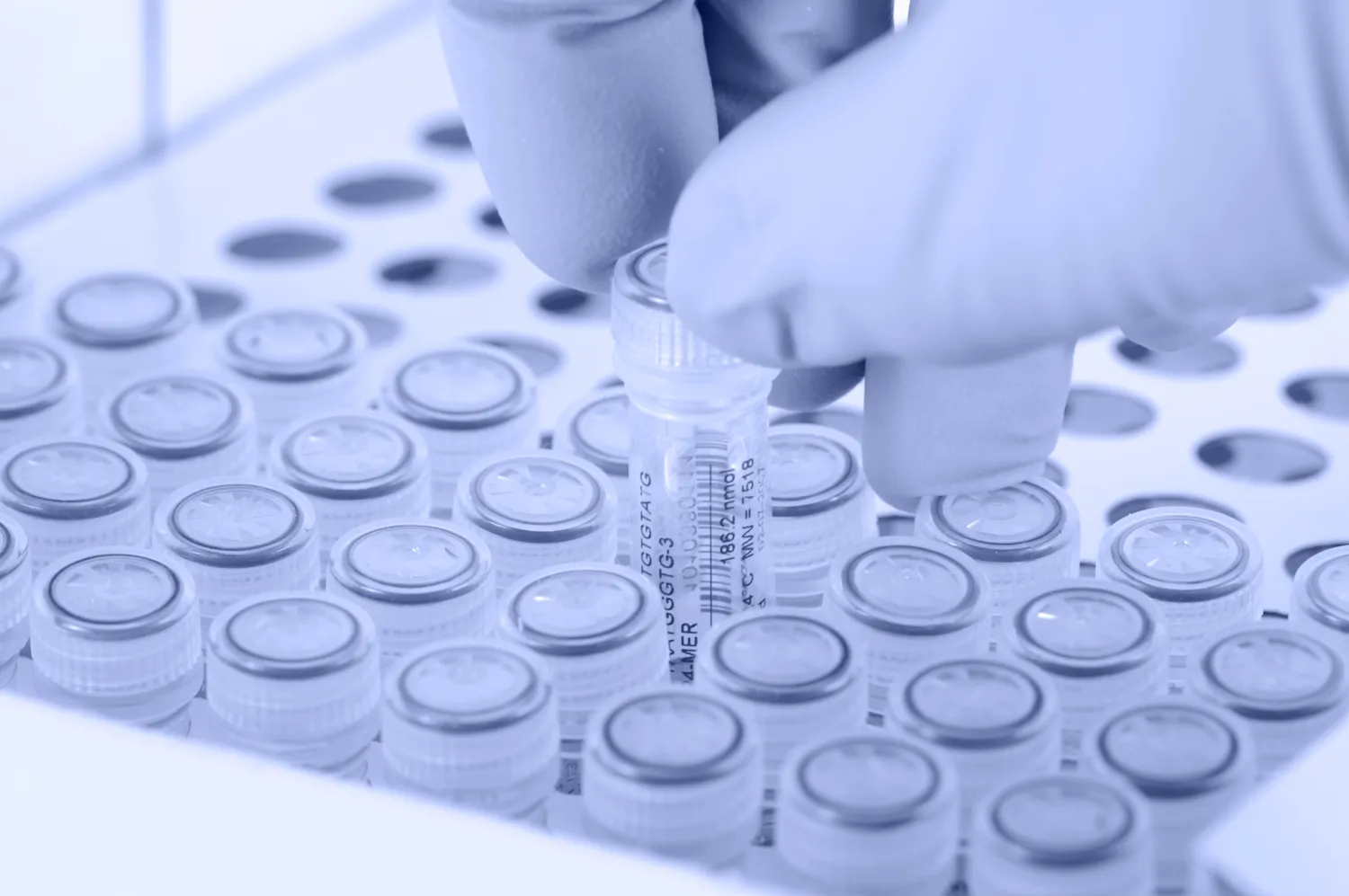 Scientist removes a test tube. Gloved hand. Light blue tint applied to image.