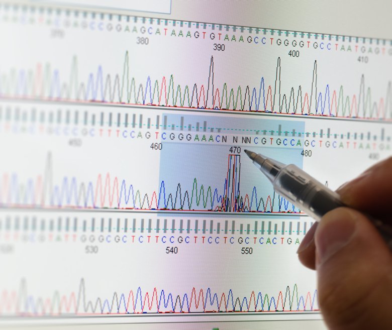 DNA sequencing results