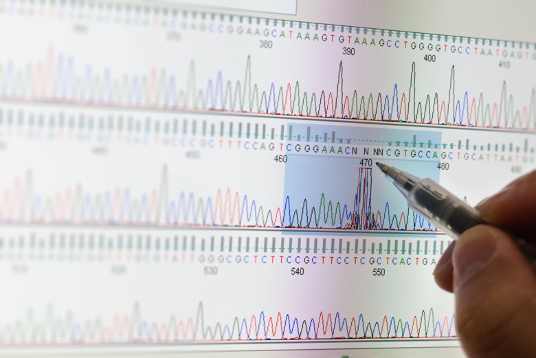 DNA sequencing results