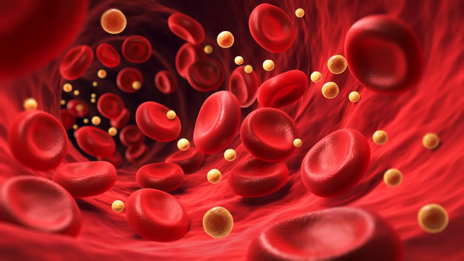 Blood platelets and proteins slide down blood vessels. Illustration.