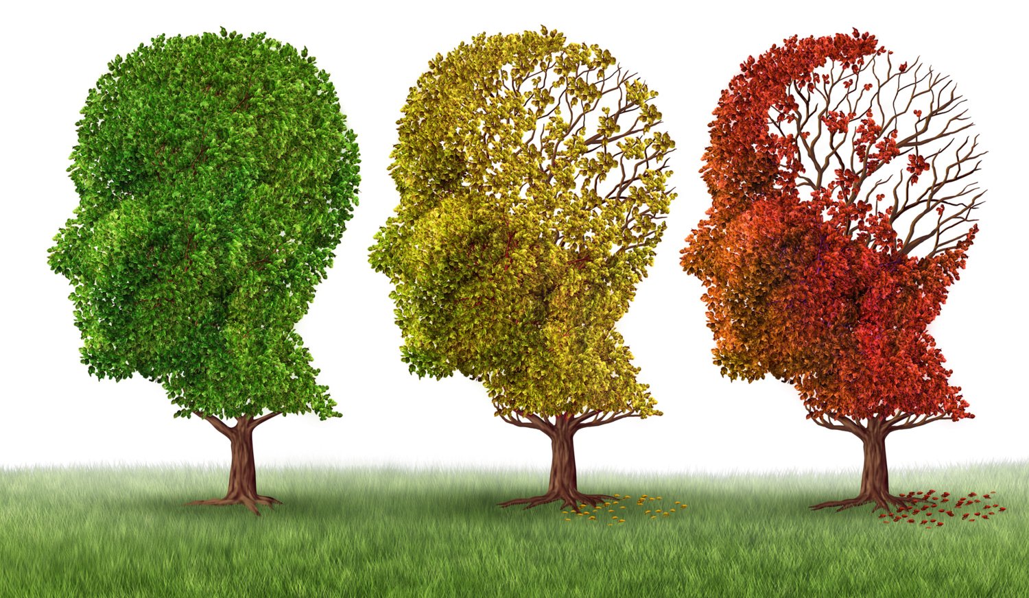 Decorative image showing three trees like a profile of the same person in various colours and loosing leaves.