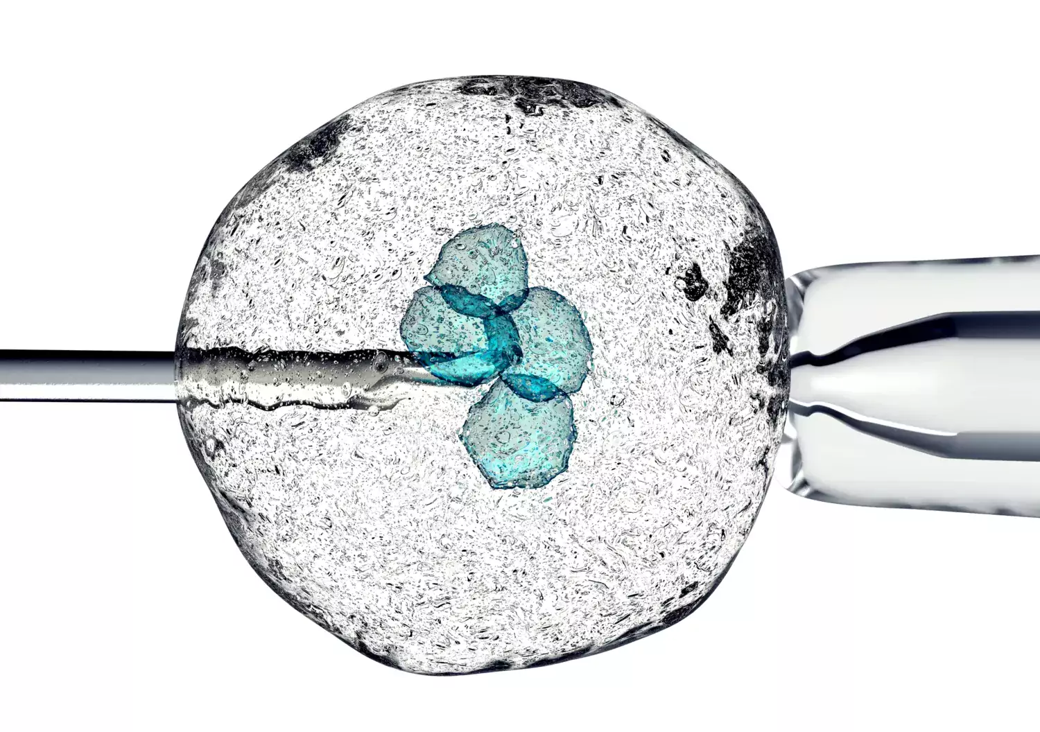 Cell held by a pipette and a needle. 3D rendering.