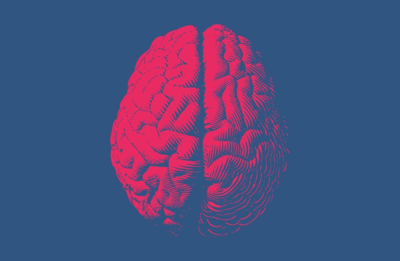 Illustration of brain.