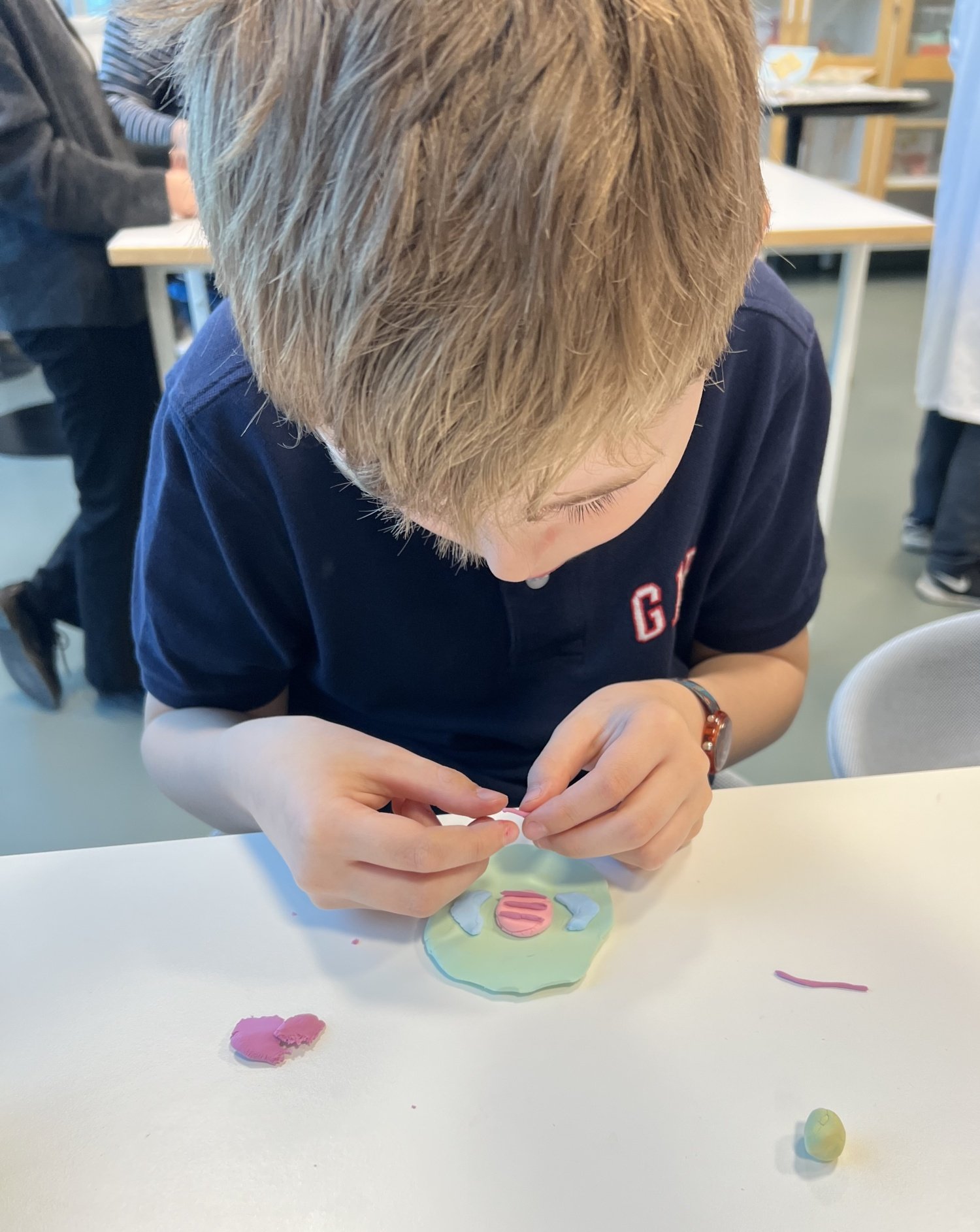 A boy sits focused and creates a cell with clay.