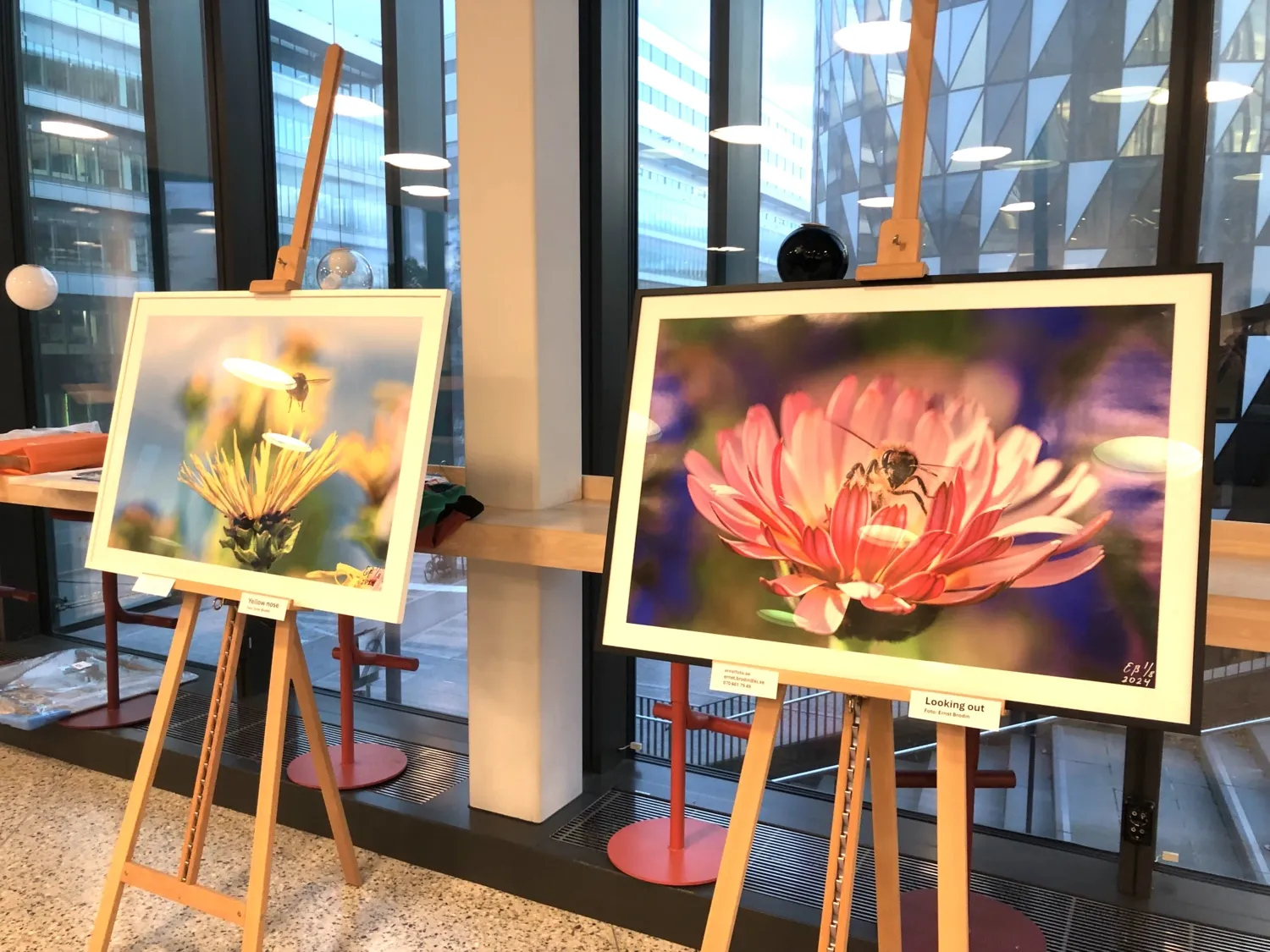 Art exhibition at Biomedicum 2025
