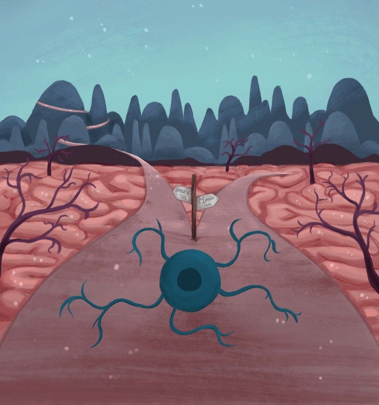 Oligodendroglia at a crossroad in multiple sclerosis: proceed to the Myelin State or overcome epigenetic mountains to achieve the Immune State.