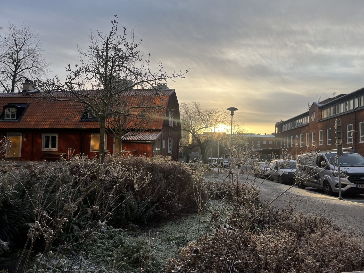 Buildings and frosty flowerbeds on Campus Solna