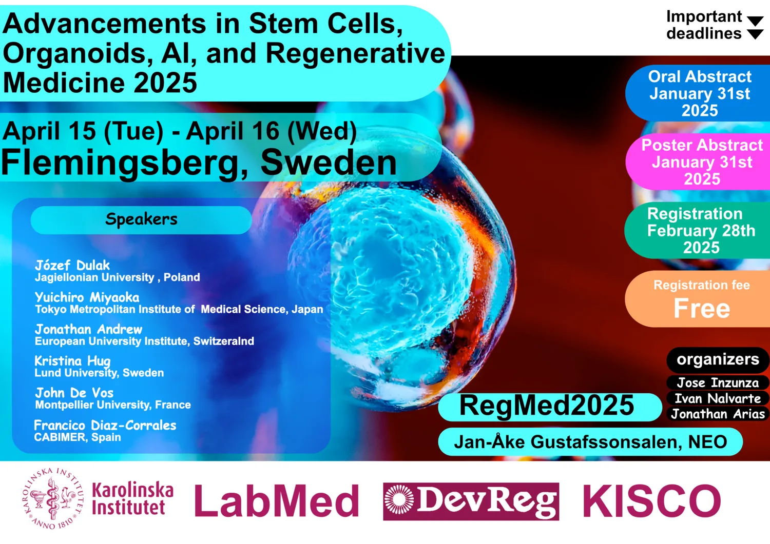 A conference add for: Advancements in Stem Cells, Organoids, AI, and Regenerative Medicine 2025