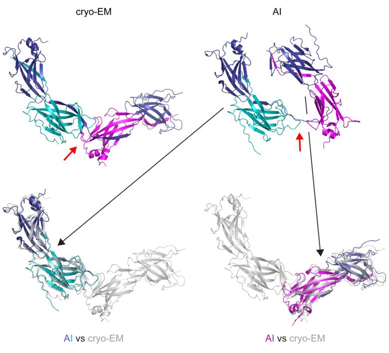 graphic illustration of uromodulin comparision