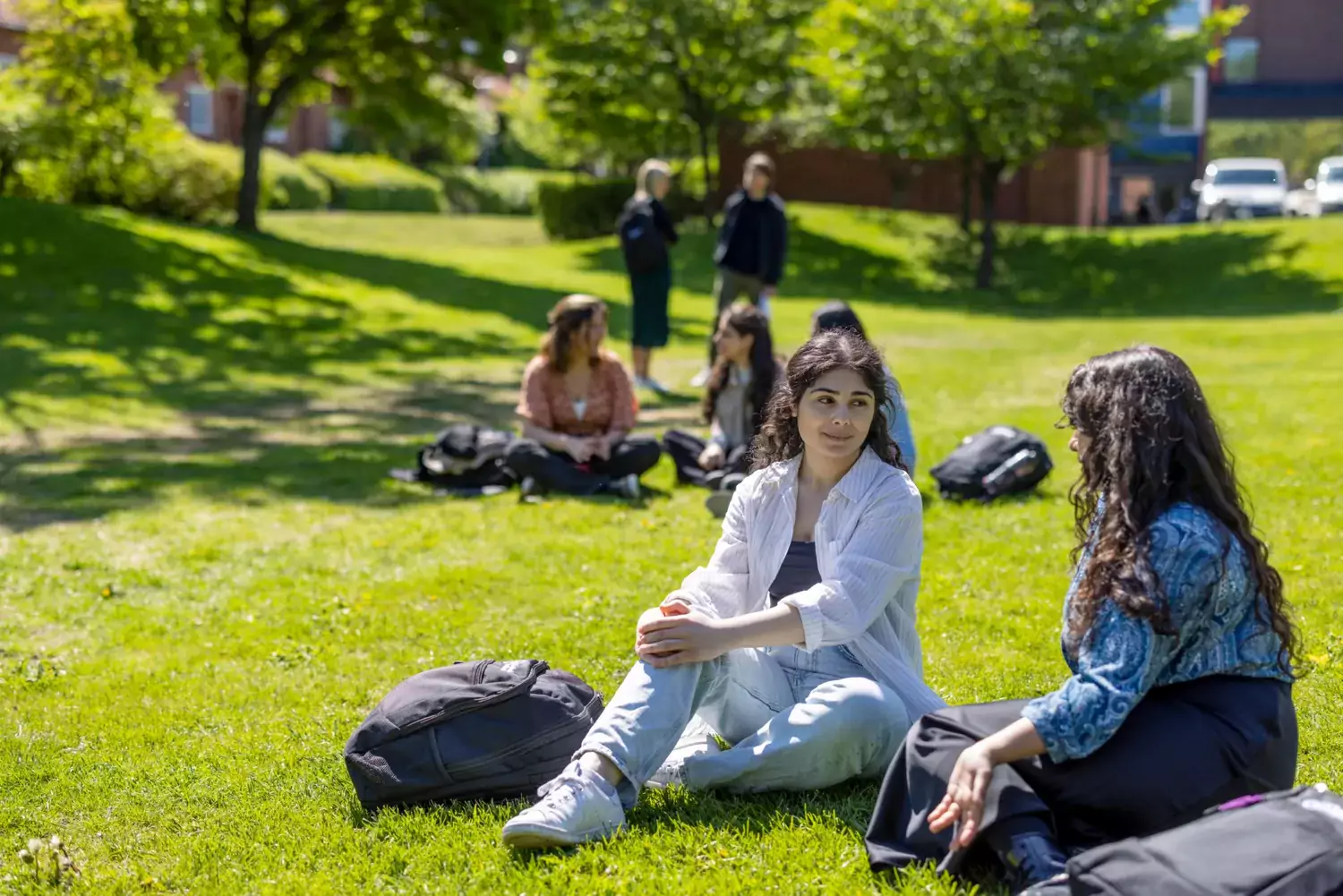 Students sitting outside on the lawn on Campus Solna in the sun.