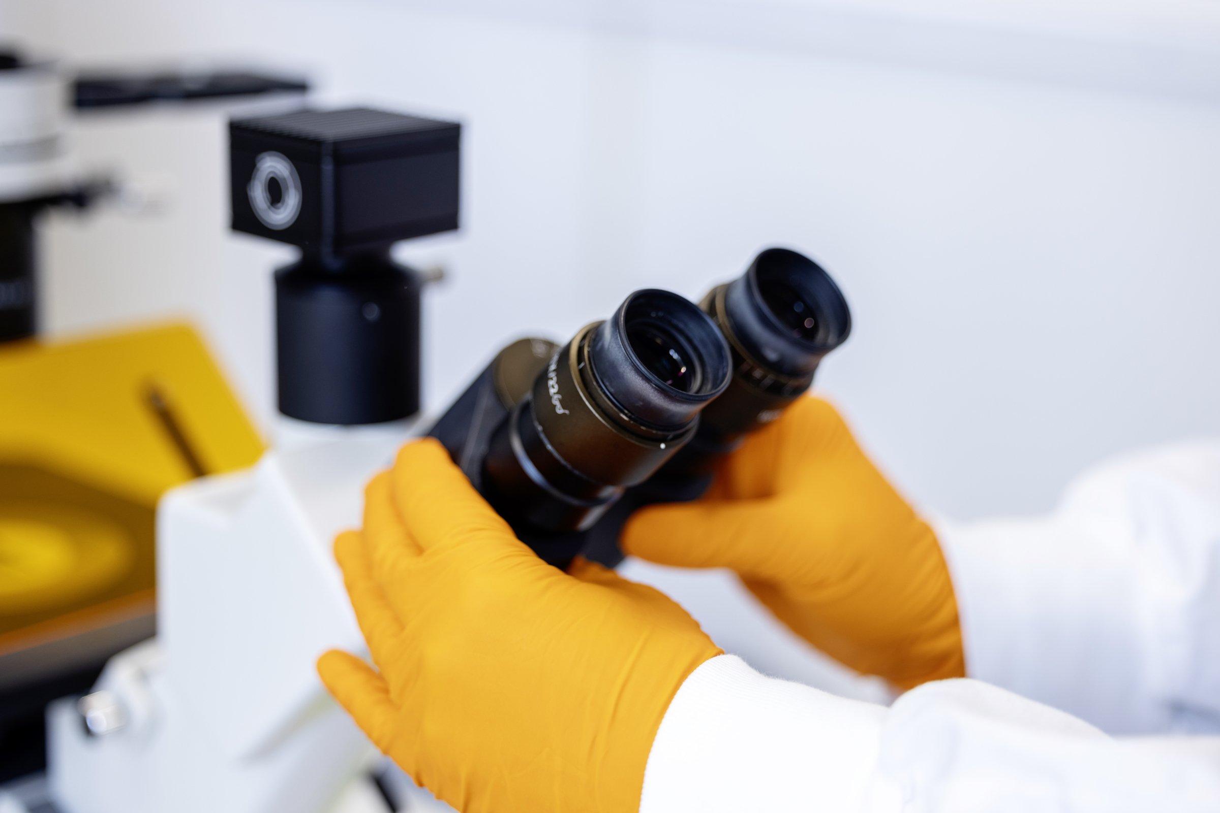 Detail image from lab