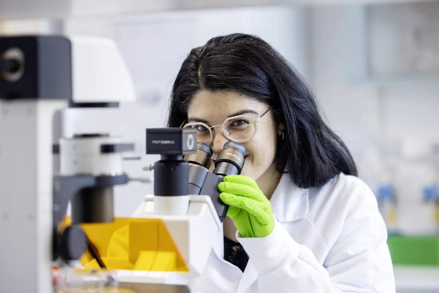 Detail image from lab