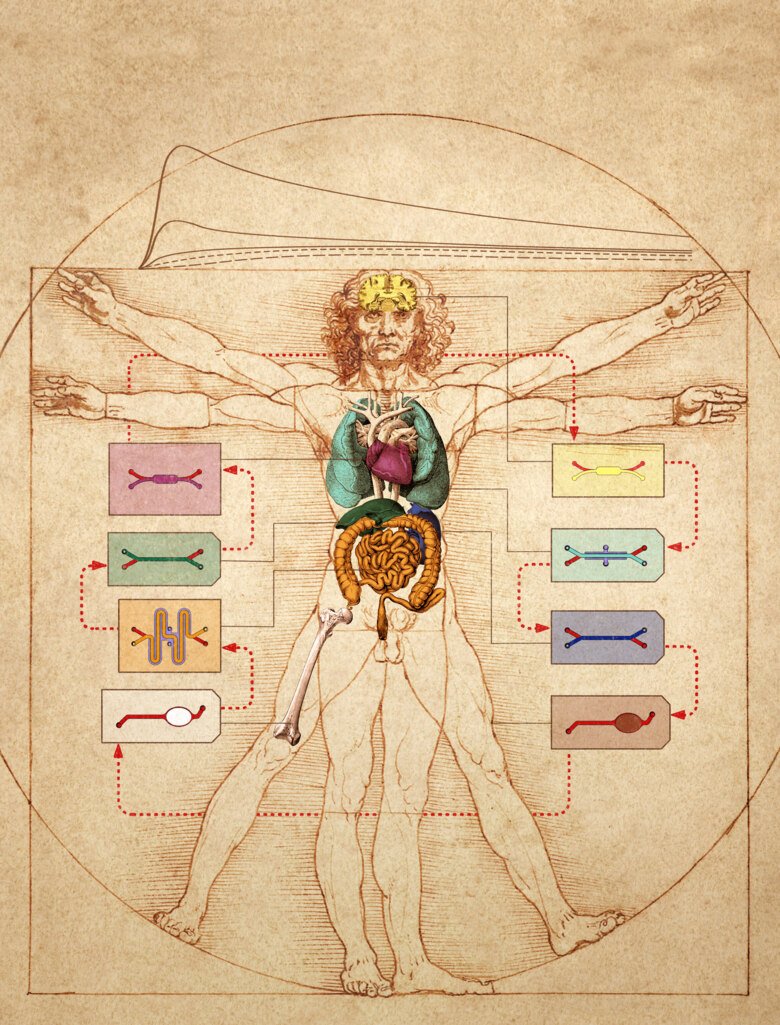 Illustration of a human body on a chip.