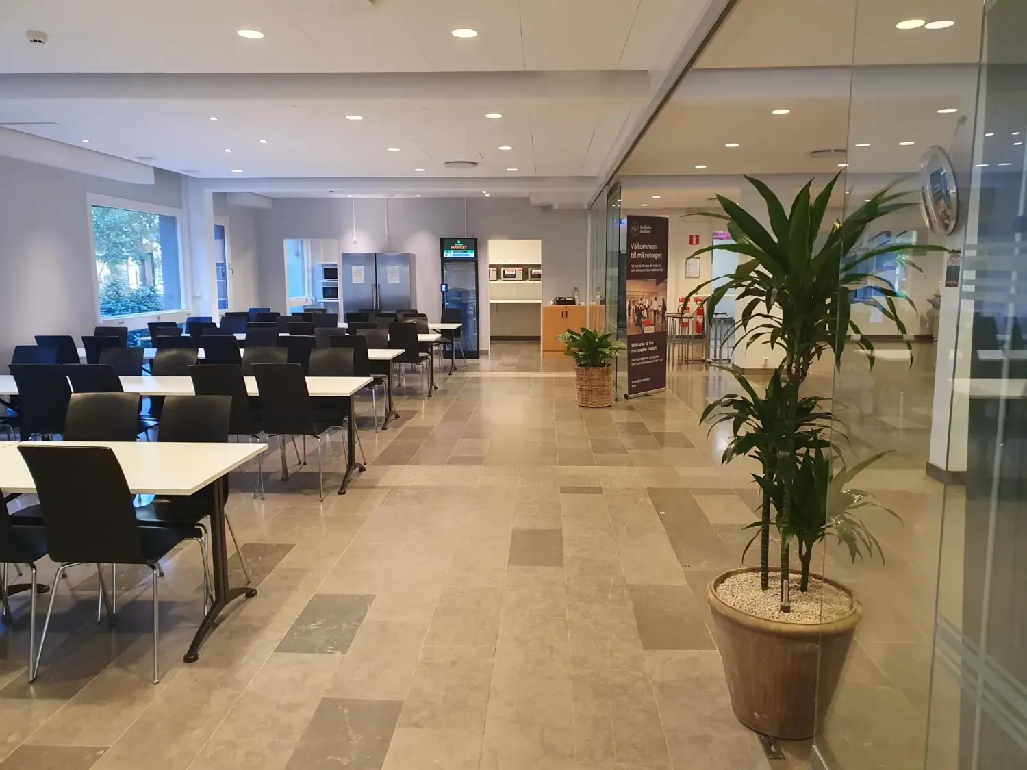 Micro area